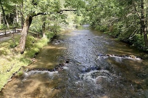 Chattahoochee river view 