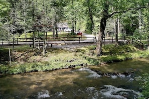 View of river, private park, & cabin
