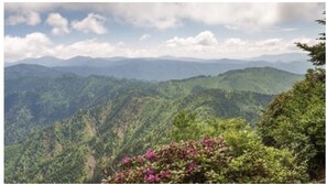 One of the views while we were driving in our GSMNP