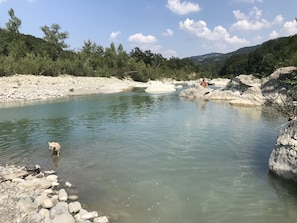The river Taro...a wonderful swim hole. Clean and fresh.