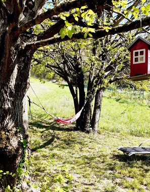 Boendeområde