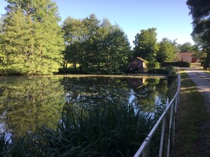 Jardines del alojamiento