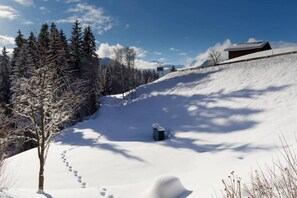 Wintersport/Ski