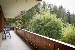 the spacious balcony with forest and mountain views 