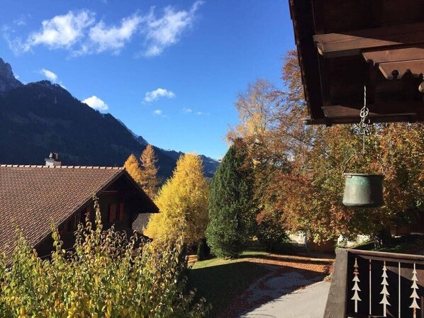 It was a beautiful autumn day in Rougemont.