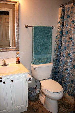 Guest Bathway (off of hallway) with tub/shower combo