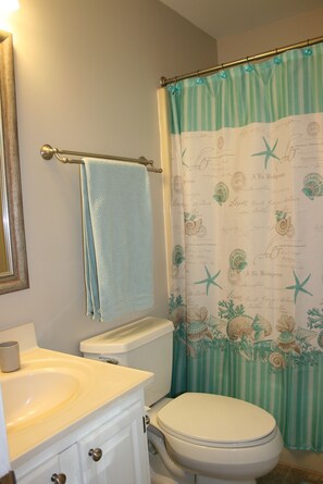 Master Bathroom with tub/shower combo and a window.