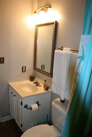 Another view of Master Bathroom