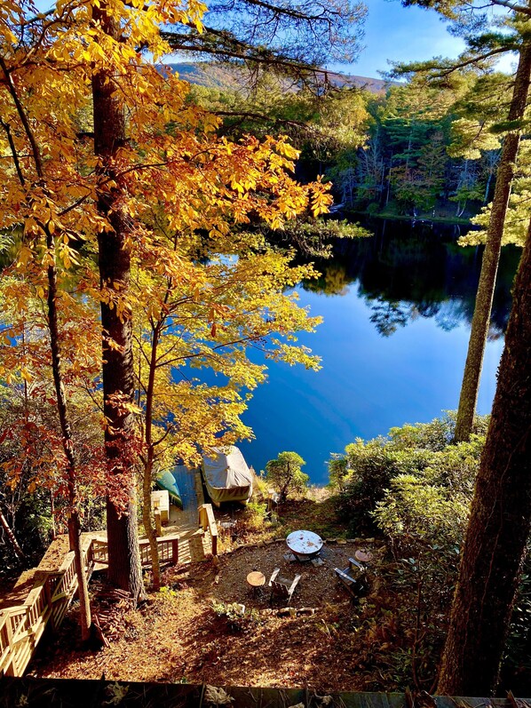 Fantastic view from 4 levels of Treehouse.