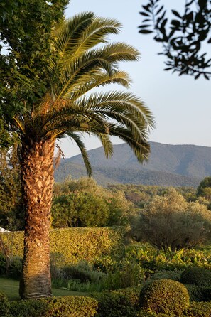 Jardines del alojamiento