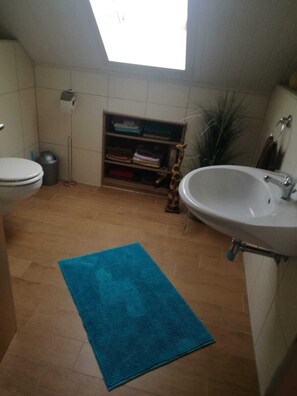 Appartement mit Wohnbereich und Küchenzeile-Badezimmer