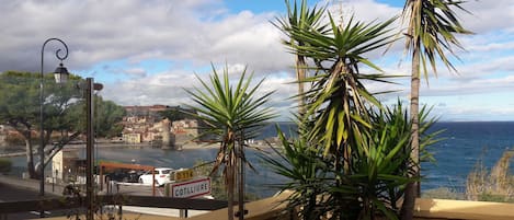 Vue depuis la terrasse