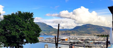 Your balcony and dining room view!