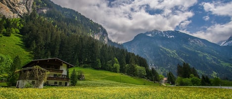 Parco della struttura