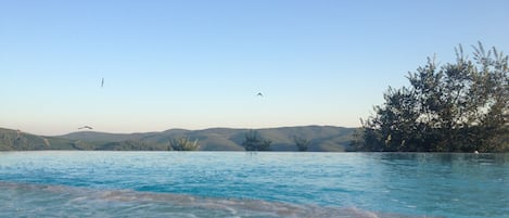 the infinity pool