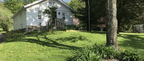 The front of the house with lots of flowering trees & shrubs 