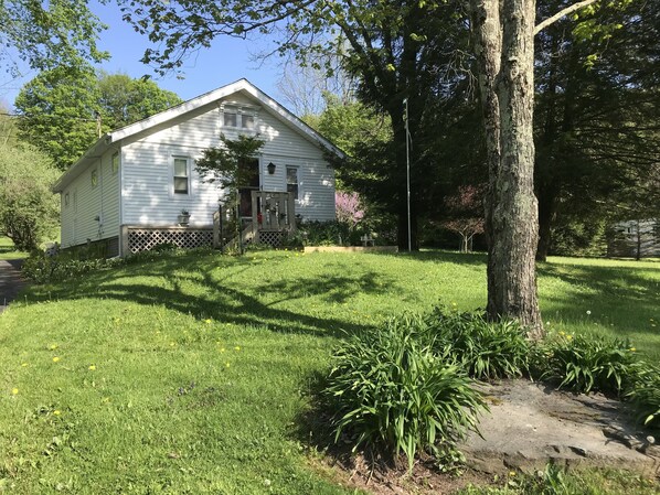 The front of the house with lots of flowering trees & shrubs 