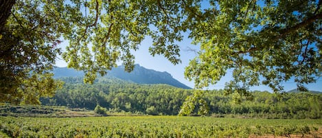 Overnatningsstedets område