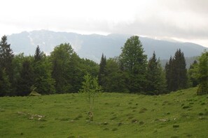 Boendeområde
