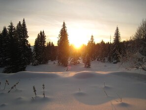 Skidåkning och snöaktiviteter