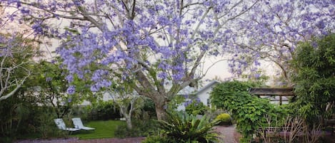 Jardines del alojamiento