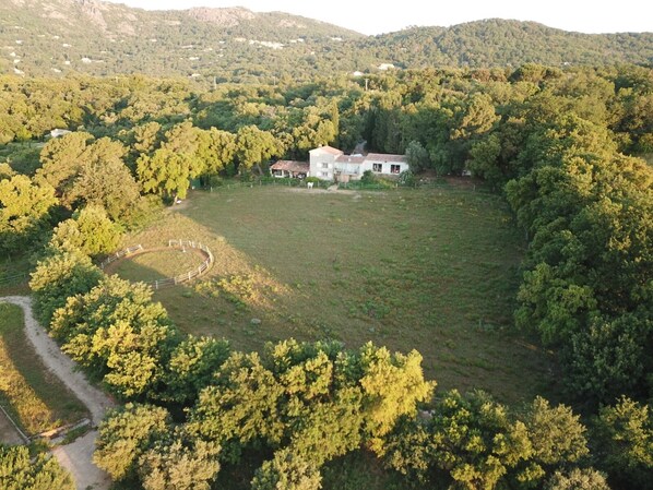 Aerial view