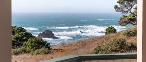 Watch the Crashing Waves along the bluffs and Whale Spouts along