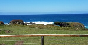 Watch the Crashing Waves along the bluffs and Whale Spouts along