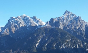 Picture 15