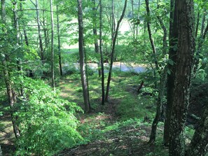 enjoy the sounds of  the stream at the base of the property 