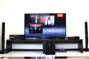 Fernseher