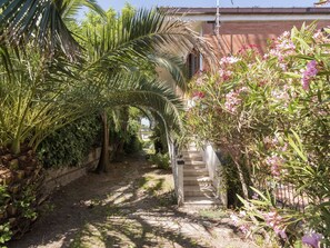 Plant, Plant Community, Flower, Vegetation, Shrub, Building, Terrestrial Plant, Grass, Landscape, Woody Plant
