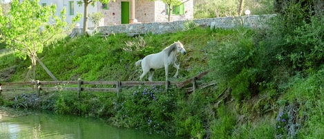 Jardines del alojamiento