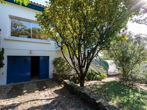 Plante, Bâtiment, Bleu Azur, Ombre, Surface De La Route, Lot Terre, Jaune, Arbre, Quartier, Herbe