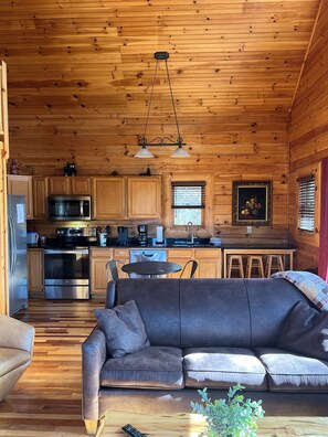 Living room w pull out sofa bed