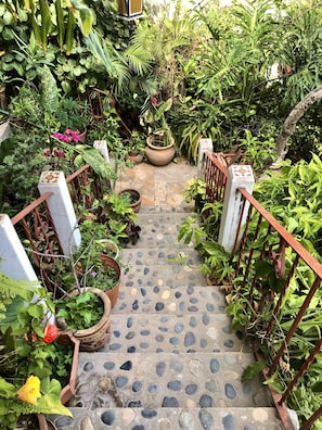 Garden Steps to Private Entrance 