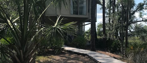 Wind your way through the marsh to privacy!