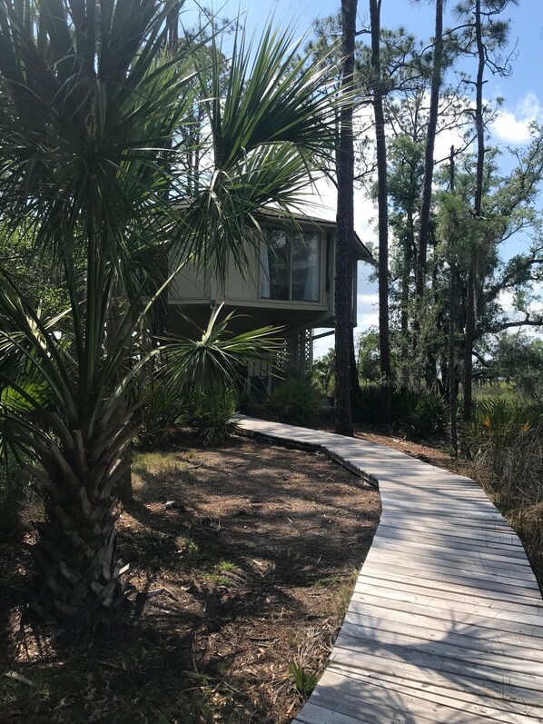 Wind your way through the marsh to privacy!
