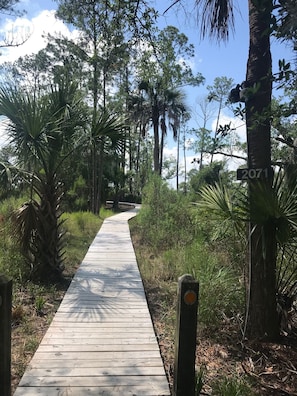 Wooded path through the marsh to the Sealoft.