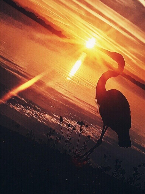 Morning sunrise