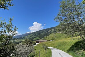 View from Holiday Home [summer]