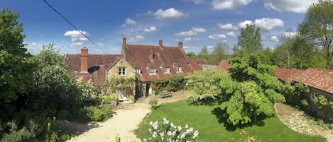 The Yard Garden