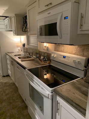 Dishwasher and ice maker