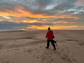 Miles of dog friendly beaches