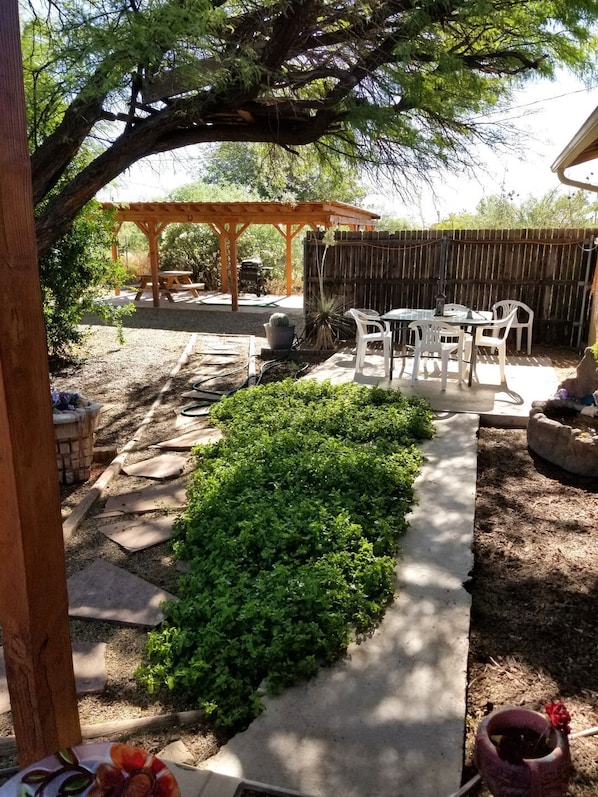 Shady, cool backyard as seen from covered patio.