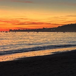 Butterfly Beach (15 min walk from house)