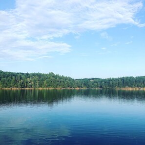 The house is lakefront on a large deepwater cove.