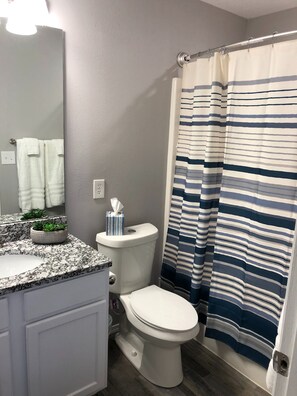 Master bath newly remodeled