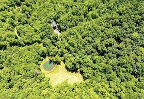 Aerial view of expansive pasture and pond 