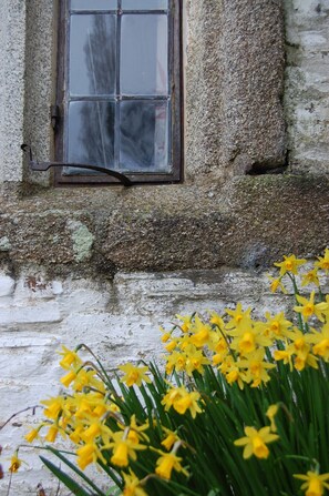 Mullion window detail
